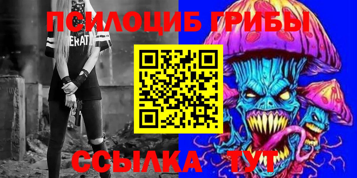 Шебекино  купить закладку  Псилоцибиновые грибы Psilocybine cubensis  Вход с VPN  Псилоцибиновые грибы прущие грибы 