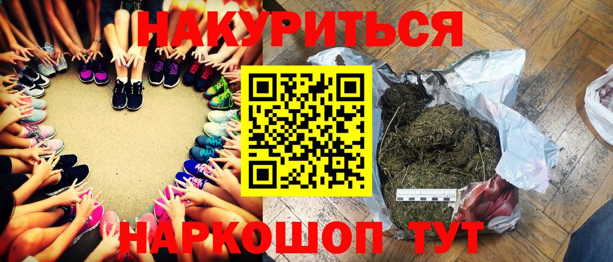 Конопля гибрид Шебекино